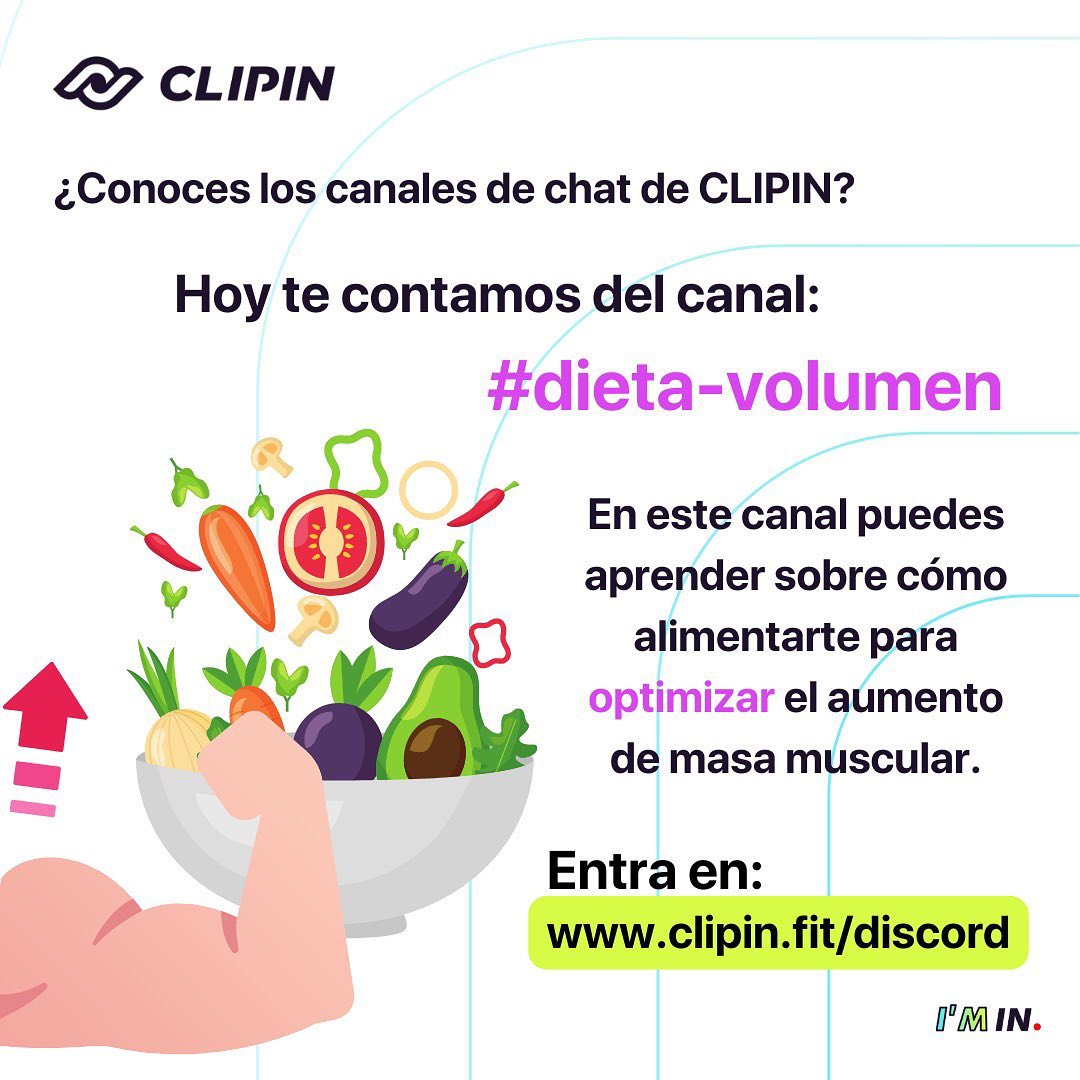 Canal de discord #dieta-volumen